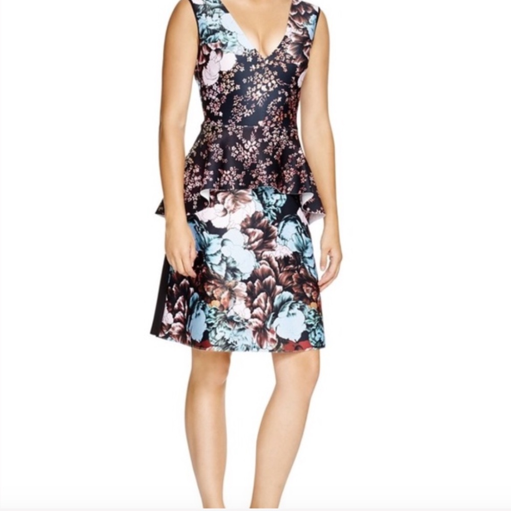 Clover Canyon Dress